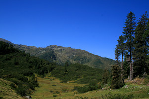 Berg- und Seeimmobilien - Pinzgau